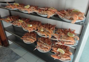 Comida en restaurante Lecrin 2022